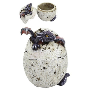 Black Dragon Hatchling Cracked Egg Jewelry/Trinket Box Figurine